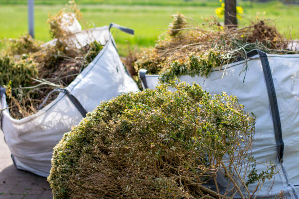 Best Dumpster Rental Services  in Payne, OH