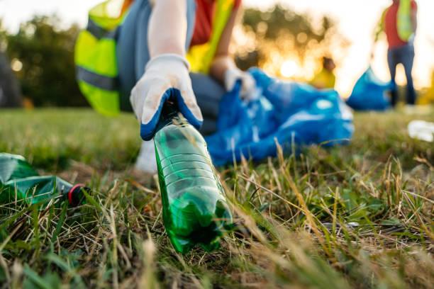 Best Yard Waste Removal  in Payne, OH